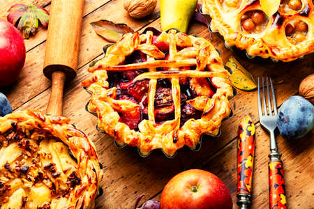 Set of autumn rural pies.Pie of apples,pears,grapes and plumsの写真素材