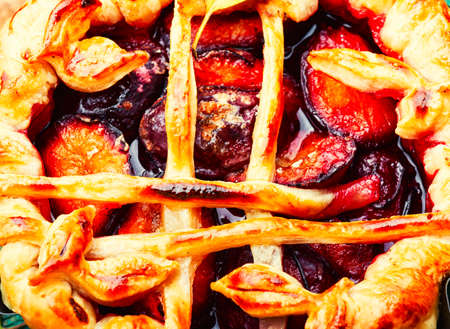 Homemade autumn pies with pear, apple, grapes and plum.Seasonal fruits cake.Close upの写真素材