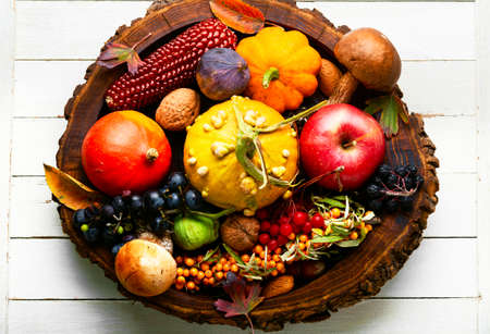Large set of colorful autumn fruits, vegetables and berries
