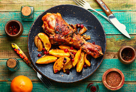 Appetizing turkey drumstick grilled with oranges and spicesの写真素材