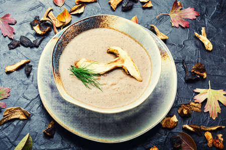 Tasty mushroom cream soup.Bowl of autumn mushroom cream soupの写真素材