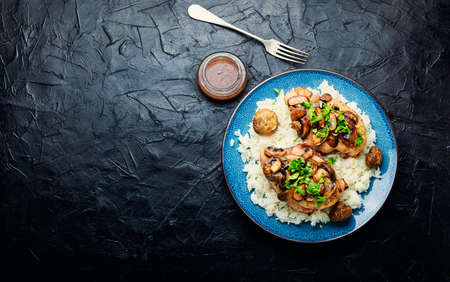 Chicken meat with mushroom sauce on a rice pad. Chicken breast with Italian marsala sauce. Copy spaceの写真素材