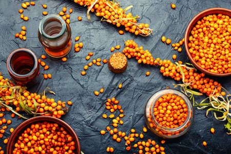 Drug tincture of fresh sea buckthorn berries. Natural herbal medicine and homeopathy