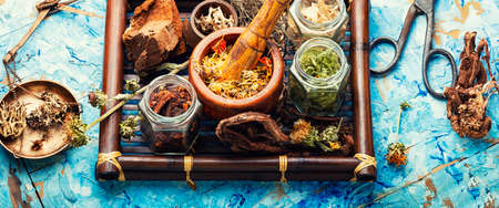 Medical herbs and medicinal plants in a tray.の写真素材