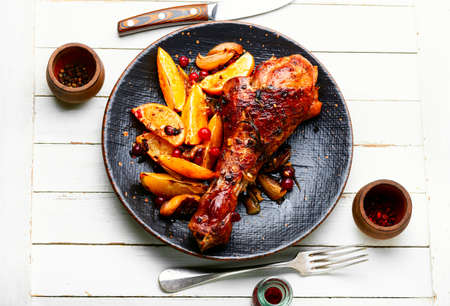 Tasty turkey leg roasted with oranges and spicesの写真素材