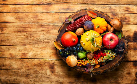 Set of autumn fruits, vegetables and berries.Space for text