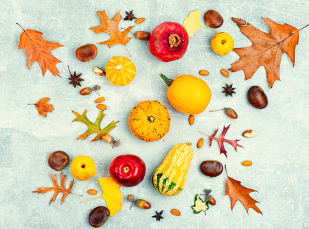 Squash, autumn fruit, apples, and nuts on the plate, top viewの写真素材