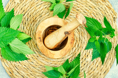 Fresh nettle bunch and wooden rustic mortar on light background. Herbal medicine, healing