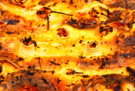 Pumpkin baked with cottage cheese in pita bread, appetizing autumn pie or tart. Close upの写真素材