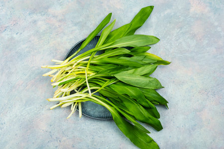 Fresh wild garlic on the kitchen table. Spring homeopathic herbs on a gray table. Top view.