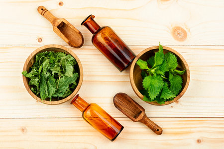 Fresh and dried nettle leaves on the table. Medicinal plant, stinging nettles on a wooden table
