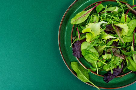 Salad of spring greens on a plate. Green food. Copy space.の写真素材