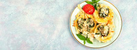 Appetizing nests of noodles with meatballs and herbs. Casserole. Space for text, recipe place.の写真素材