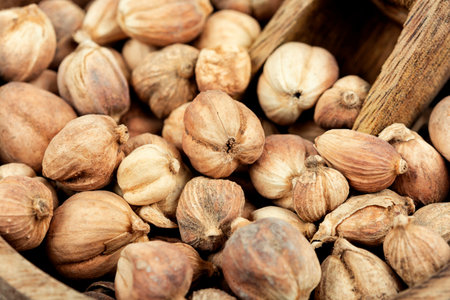 Fragrant white cardamom, kapulaga seed in a wooden bowl, spice.の写真素材