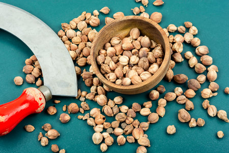 Fragrant white cardamom in a wooden bowl. Indian cooking. Dried herb spice, condiment and knife.の写真素材