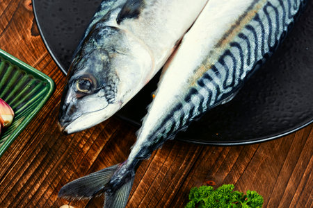 Fresh mackerels fish for cooking on old rustic wooden table. Raw fish, cooking fish concept.の写真素材