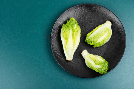 Green Romaine lettuce hearts. Fresh Romaine or cos lettuce. Copy space.の写真素材