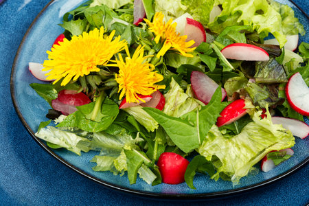 Healthy salad of greens, radishes and dandelions. Raw food dietの写真素材