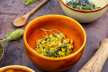 Herbal medicine. Healing herbs. Set of medicinal herbs