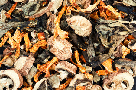 Colorful dried mushrooms, dried mushroom slices. Close up, food background.の写真素材