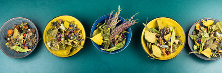 A set of dried medicinal wild plants and flowers. Long banner.の写真素材