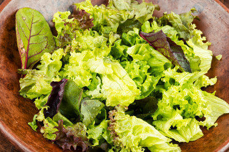 Healthy eating: fresh green salad.の写真素材