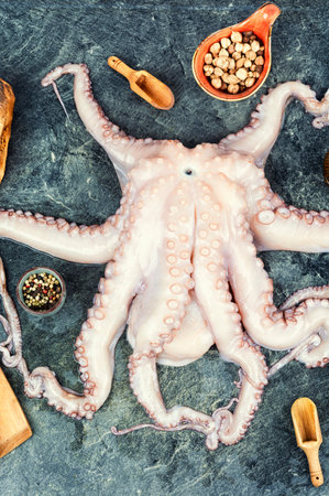 Whole raw and fresh octopus and ingredients for cooking.の写真素材