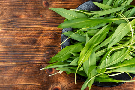 Freshly rinsed wild ramps or wild onion on rustic wooden table. Allium ursinum. Space for text.