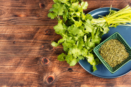 Bunch fresh and dry homegrown cilantro herbs, plant. Spices. Space for text.の写真素材