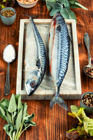 Fresh mackerel fish or uncooked Atlantic mackerel with ingredients to cookの写真素材