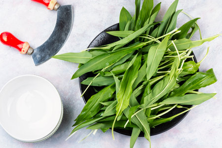 Raw organic green ramps, green shoots of wild onions, plants. Bear leek , wild garlic.