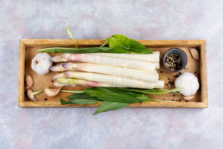 Raw garden vegetables bunch, edible sprouts of Asparagus Officinalis.の写真素材