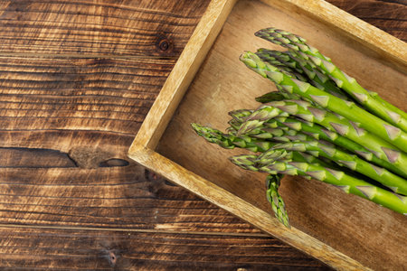 Spring vegetable with thick stems, collection of green raw asparagus.の写真素材