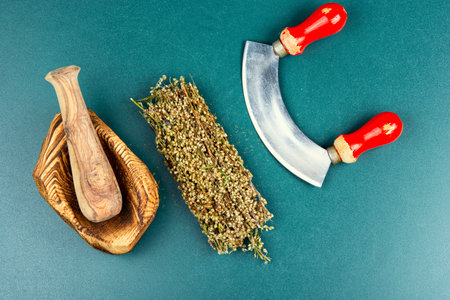 Dried wormwood herb for medicinal tea. Wormwood in phytotherapy.の写真素材