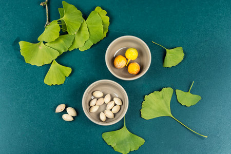 Healing herbal remedy using ginkgo biloba seeds and leaves. Top view.の写真素材