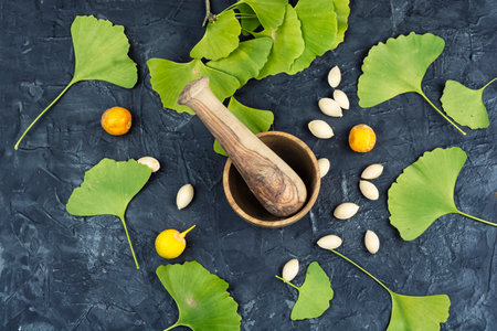 Ginkgo biloba essential extract,herbal or natural medicine.の写真素材