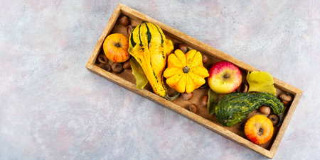 Autumn with this vibrant display of pumpkins, apples, and fall leaves, festivals and seasonal celebrations.の写真素材