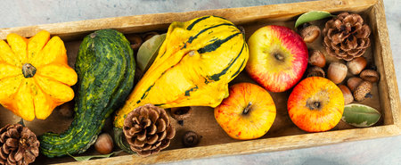Autumn harvest pumpkins apples, autumn leaves in wooden rustic box. Harvest festival.の写真素材