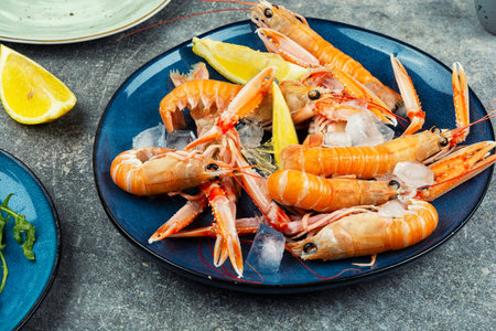 Seafood, large raw whole langoustines ready for cooking.の写真素材