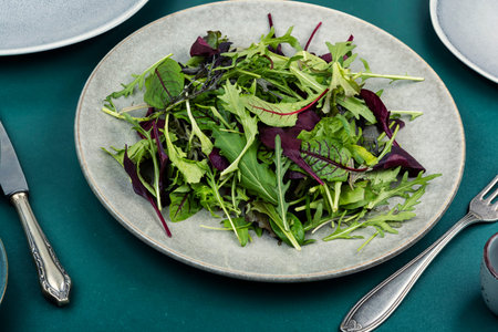Leaf salad with fresh herbs, mixed baby leaf salad with fresh herbs on plate.の写真素材