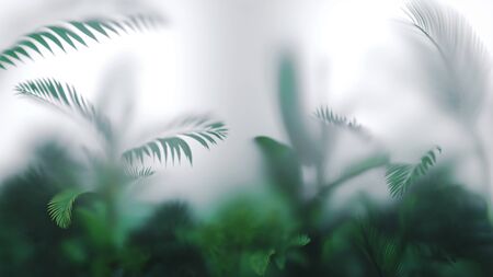 Tropical background. Green postcard wallpaper for print or web. Blurred frosty glass. 3D illustrationの写真素材