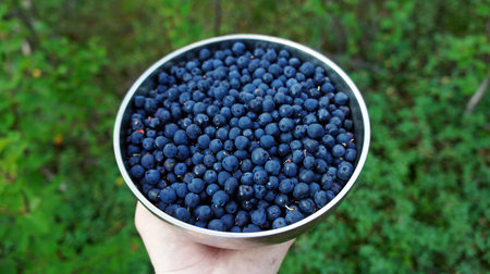 Ripe blueberries in the bowl. top view.