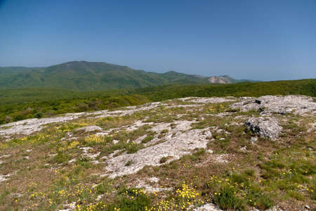 Lifeless stone field in the mountainsの写真素材