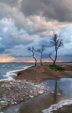 The cloudy sky and storm clouds, lonely tree costs on a windの写真素材