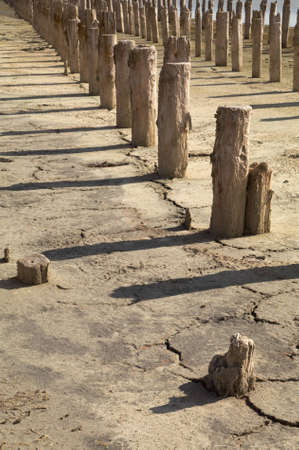 The old wooden destroyed columns on the dried up earthの写真素材
