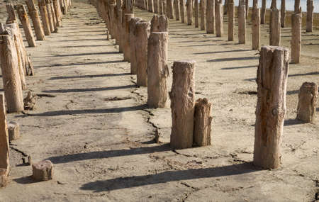 The old wooden destroyed columns on the dried up earthの写真素材