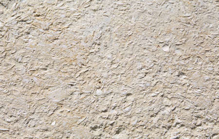 The texture of a wall from sea stone with seashellsの写真素材