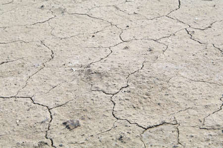 The texture is dry waterless land with cracksの写真素材