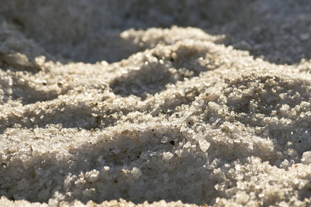 Salt crystalsの写真素材