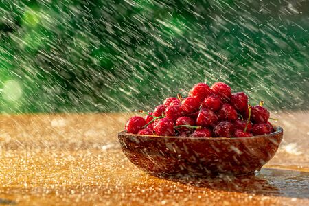 Ripe wet red cherry in a wooden plate on a brown table after summer rain in the garden on a green...